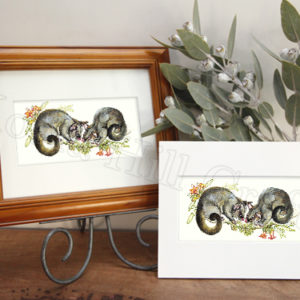 Moonlight Serenade (Brushtail Possums) Print